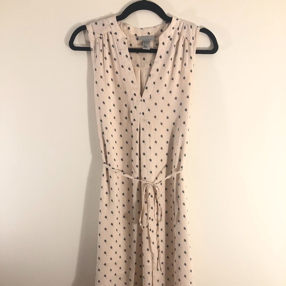 H&M Dress